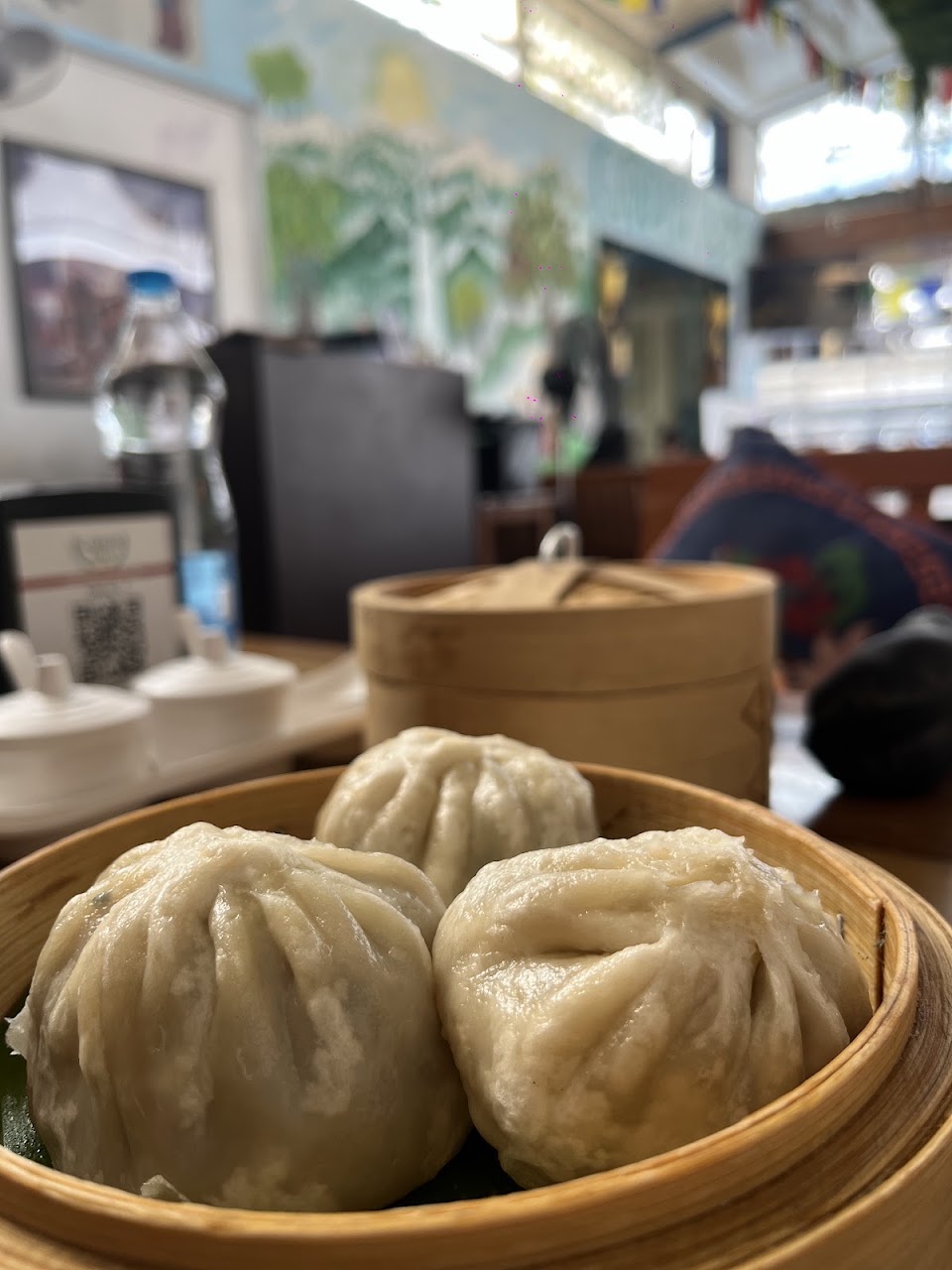 Momos at Garden Asia Restaurant