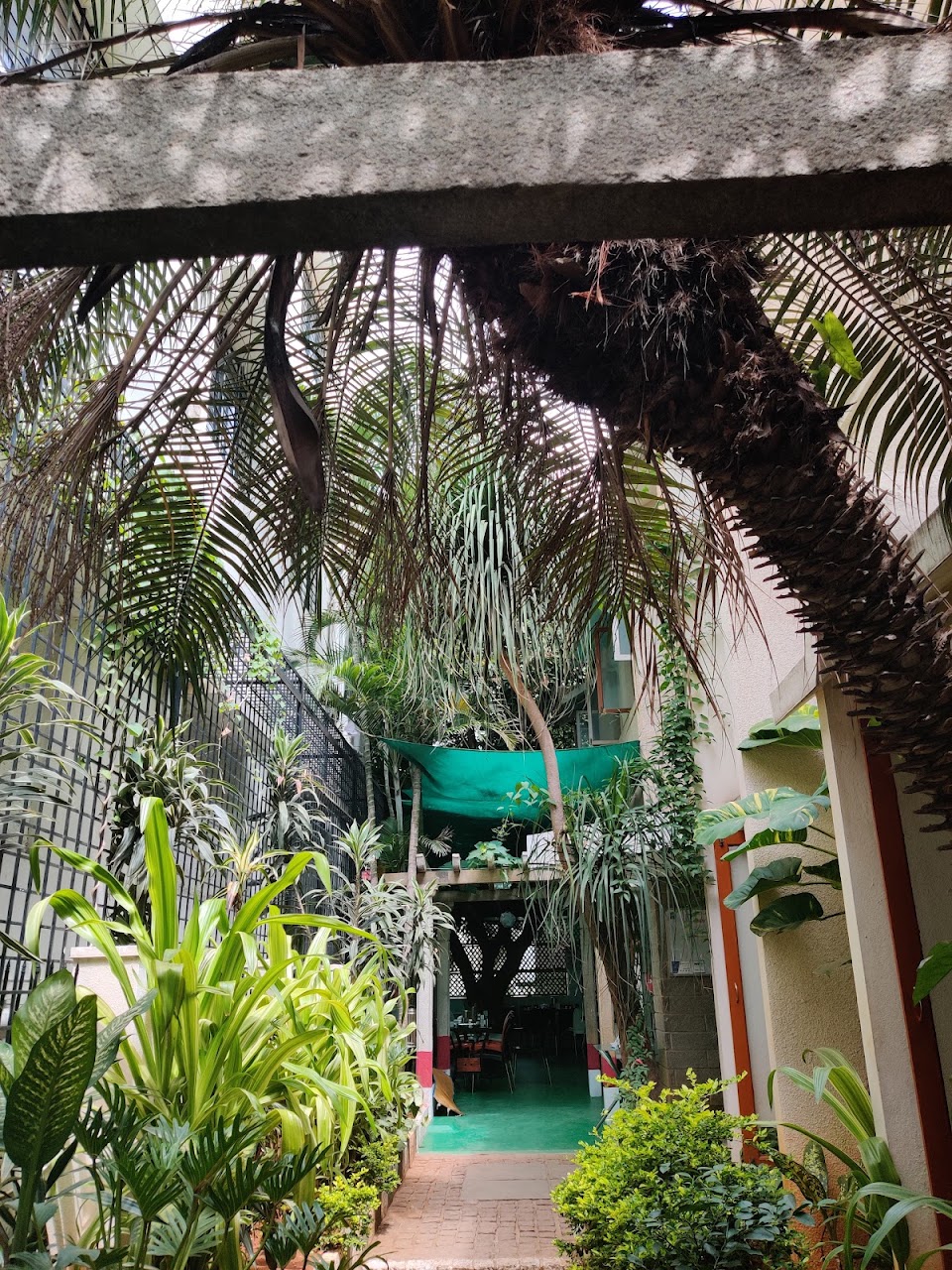 Mumbai Tiffin, photo 5 of 8 posted by diners